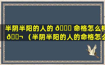 半阴半阳的人的 🕊 命格怎么样 🐬 （半阴半阳的人的命格怎么样呢）